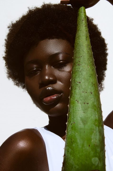 Best Natural & Organic Skincare Ingredients