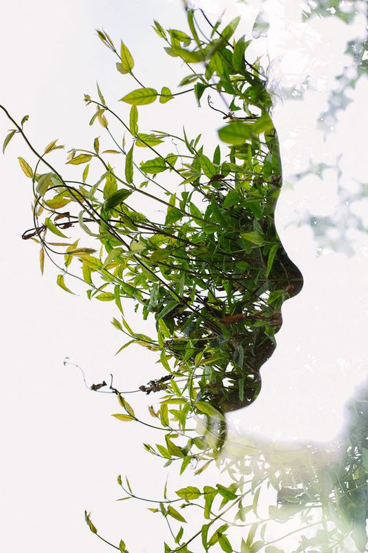 sustainable skincare, upcycle skincare